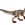 Allosaurus - Imagen 1