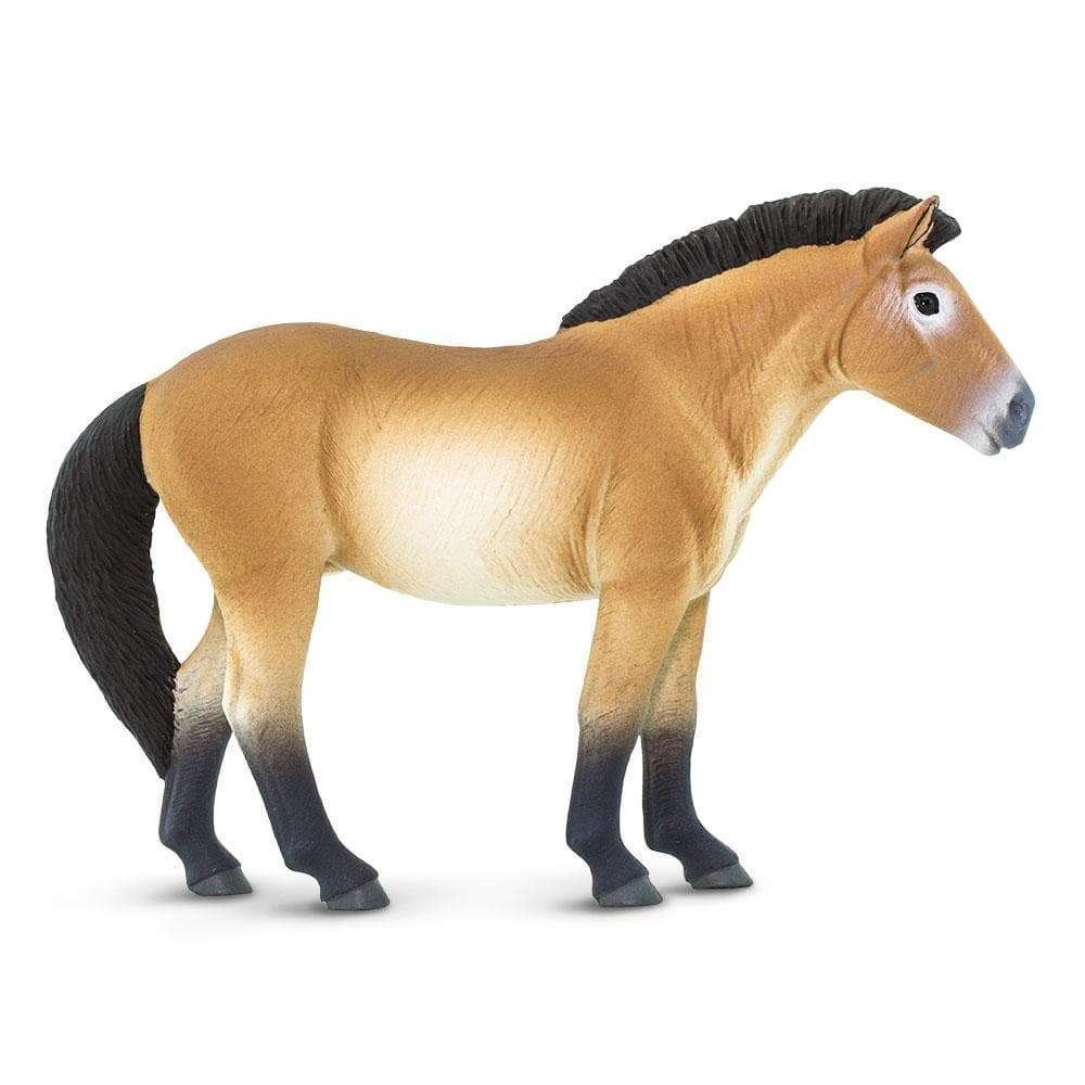 Caballo de juguete de Przewalski 153505 - Imagen 1