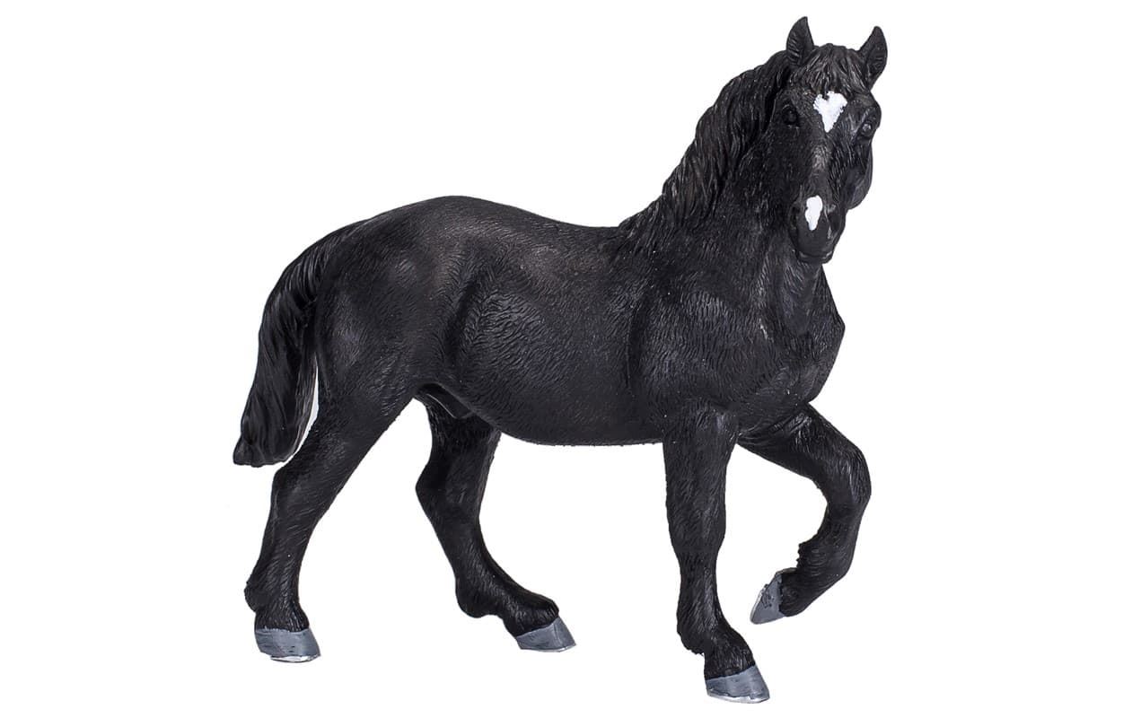 Caballo Percheron - Imagen 1