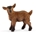 Cabrito de juguete schleich 13829 - Imagen 1