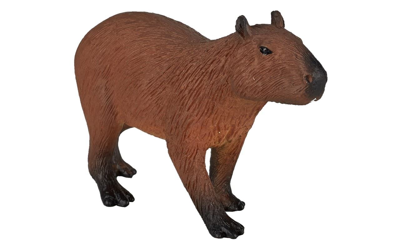 Capybara - Imagen 1