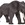 Elefante africano - Imagen 1