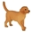 Golden Retriever cachorro - Imagen 1