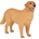 Golden Retriever - Imagen 1