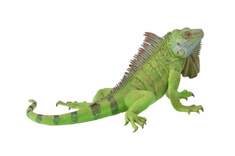 Iguana de juguete - Imagen 1