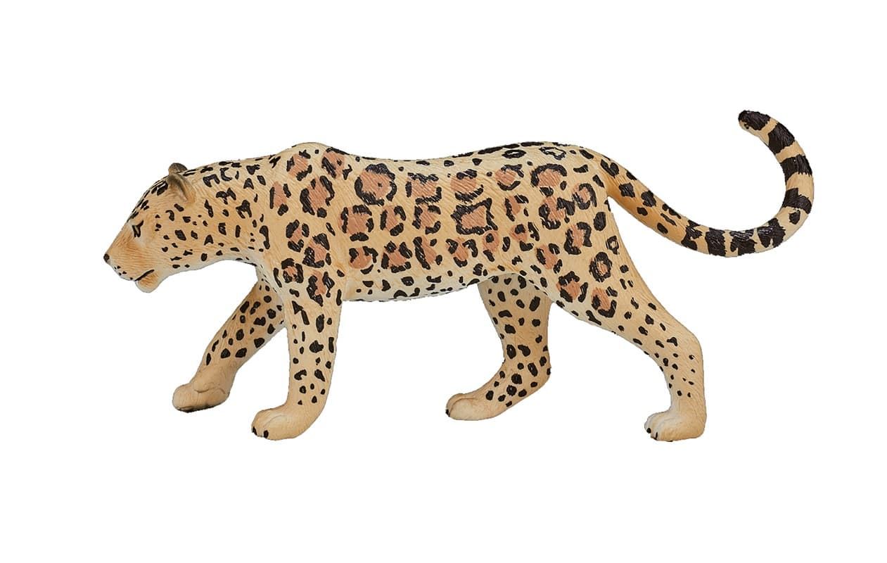 Leopardo - Imagen 1