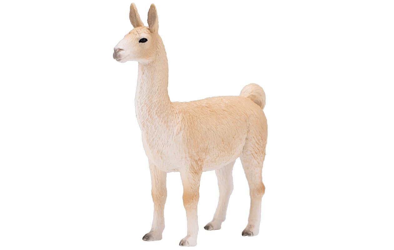 Llama - Imagen 1