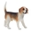 Perro beagle henry de juguete Bullyland 65424 - Imagen 1