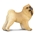 Perro de juguete Chow Chow - Imagen 1