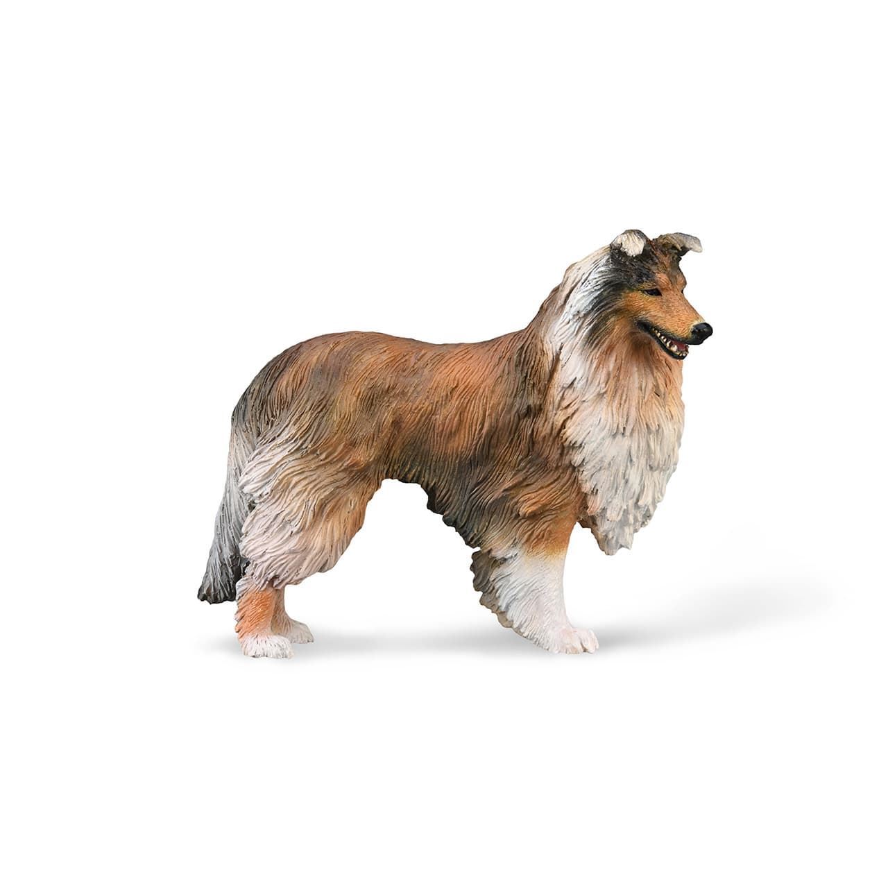 Perro de juguete Collie de pelo largo - Imagen 1