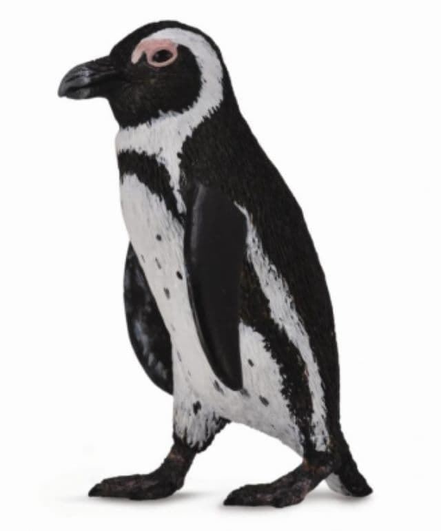 Pingüino del cabo de juguete - Imagen 1