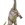 Rhoetosaurus de juguete - Imagen 1
