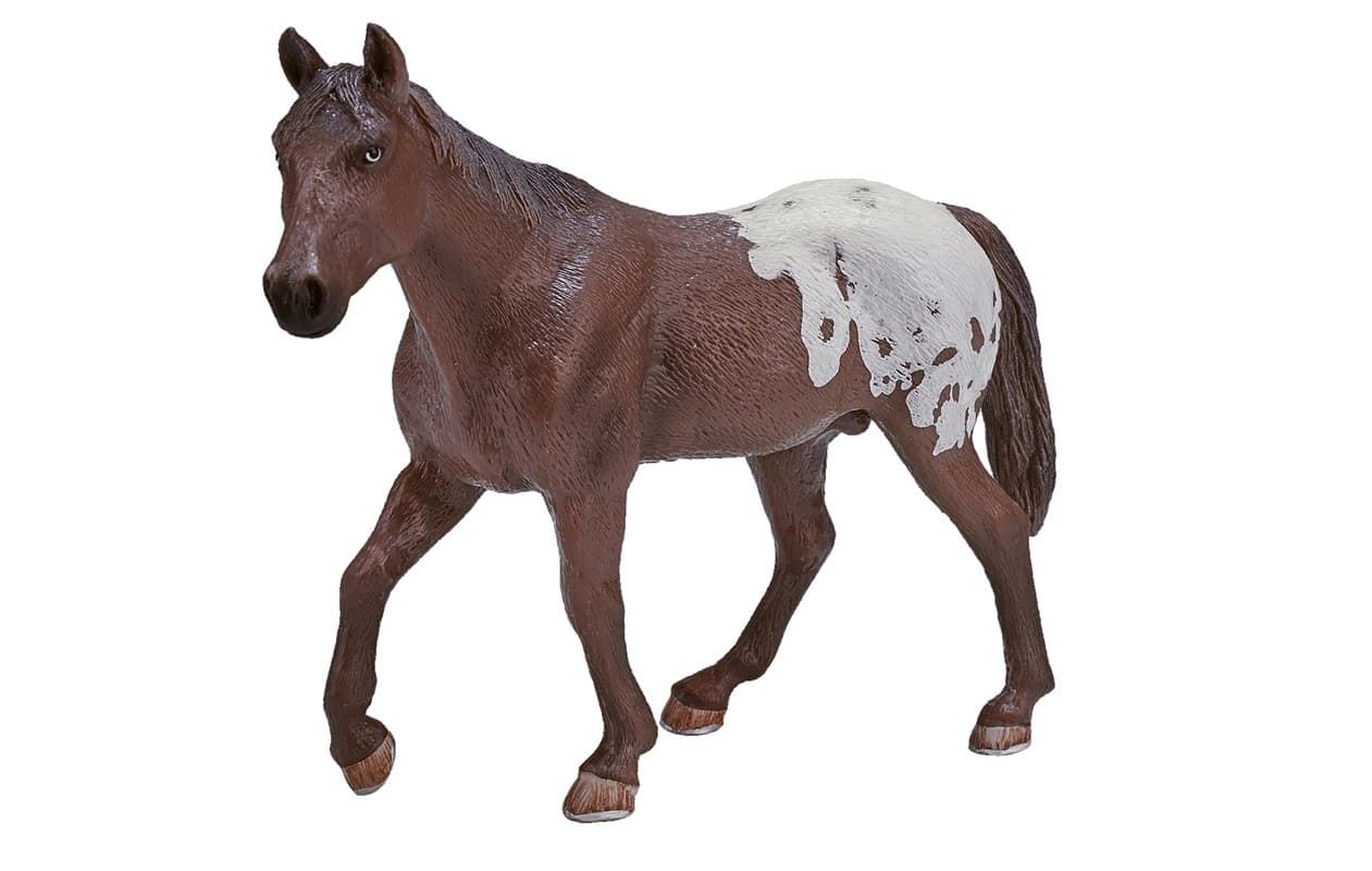 Semental Appaloosa castaño - Imagen 1