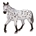 Semental Appaloosa - Imagen 1