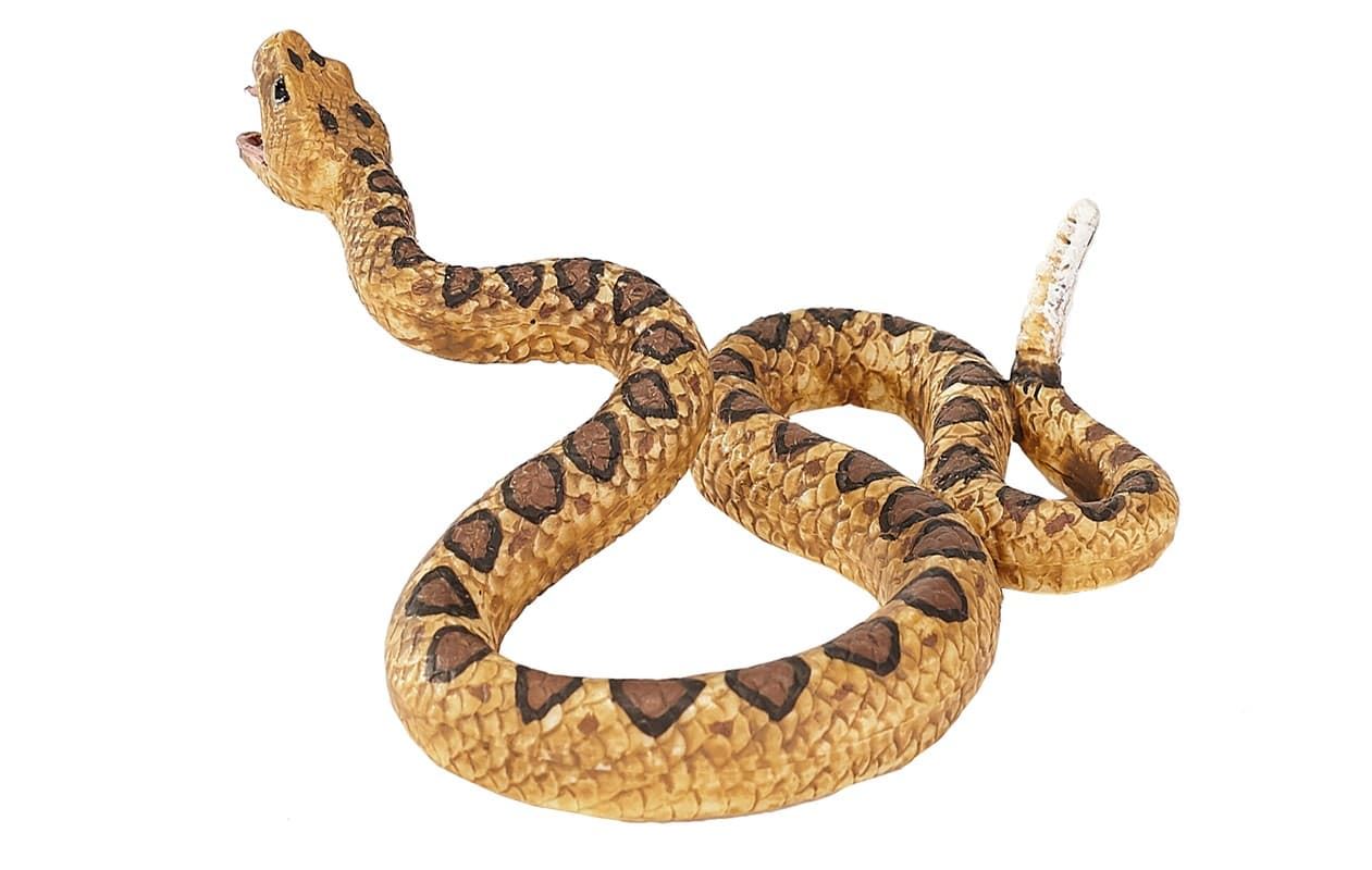 Serpiente de cascabel - Imagen 1