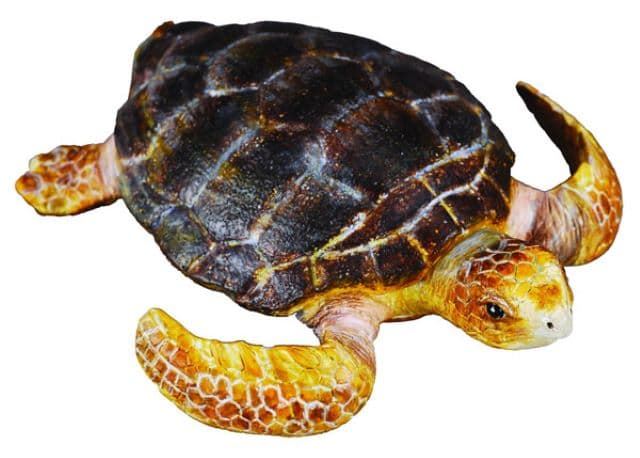 Tortuga boba de juguete - Imagen 1